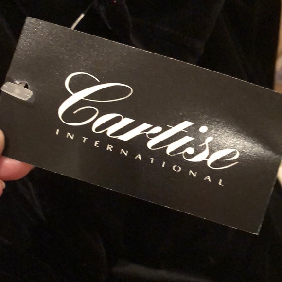 LUXURIOUS VELVET FULL LENGTH PLUS SIZE GOWN - Picture 14 of 16